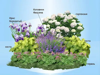Украшения для сада своими руками из подручных материалов | Школа садовода |  Дзен