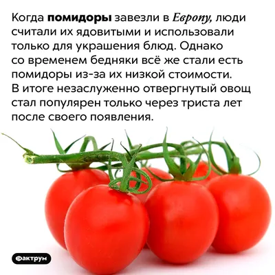 Кислота лимонная пищевая порошок 1000 грамм, регулятор кислотности,  консервант, декор для выпечки, приготовления компотов десертов сиропов  маринадов соусов, консервирования овощей помидоров огурцов - купить с  доставкой по выгодным ценам в интернет ...