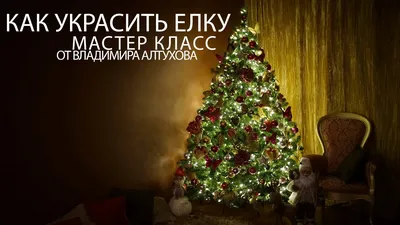 Как украсить елку в 2024 году и в каких цветах наряжать