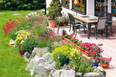 Как сделать свой сад красивым своими руками, фото дизайна сада | Houzz  Россия