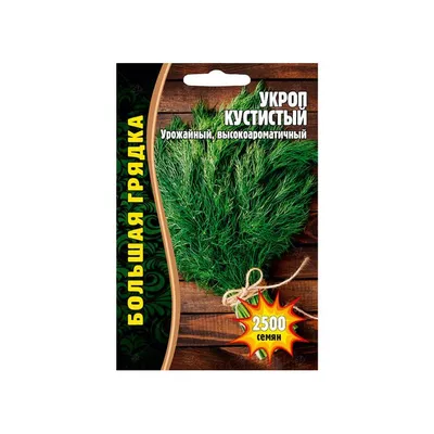 Семена зелени Укроп Супер Дукат купить в Украине | Веснодар