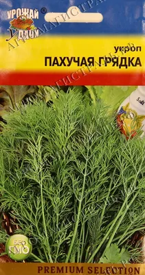 Укроп Редкие семена Укроп_БГ_НФ-00012018 - купить по выгодным ценам в  интернет-магазине OZON (843074300)