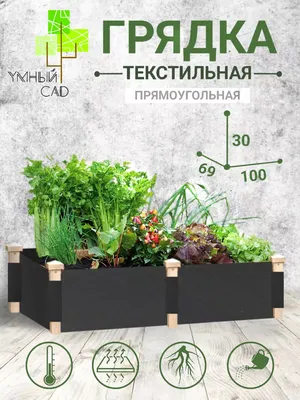 Грядки. The Garden