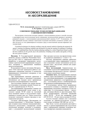Стратегия и тактика прополки - Рамблер/женский