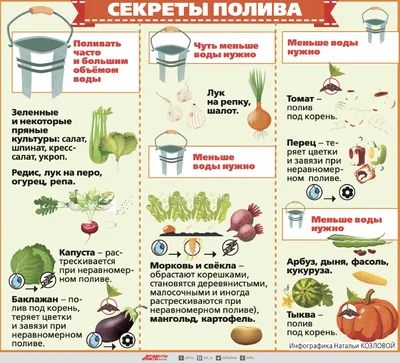 Плотные посадки в пейзажном стиле — «культурные» заросли. Фото — Ботаничка
