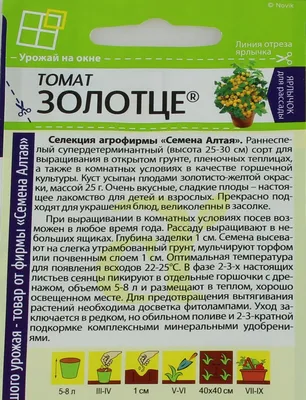 Где в Бобруйске в этом году купить рассаду? | bobruisk.ru