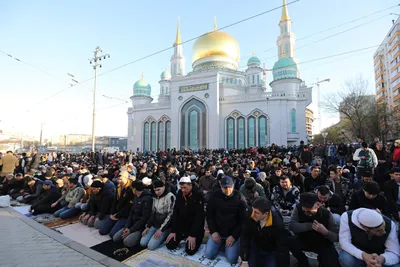 Ак Барс» поздравляет мусульман с праздником Ураза-байрам! | ХК «Ак Барс»