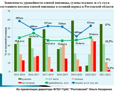 Условия выращивания озимой пшеницы