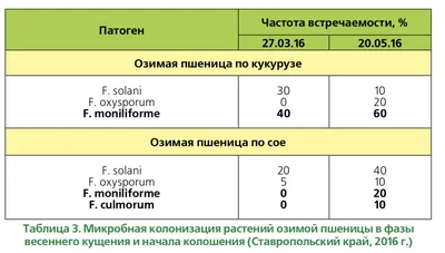 Купить семена пшеницы озимой в Украине