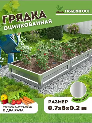 Грядка грядке рознь