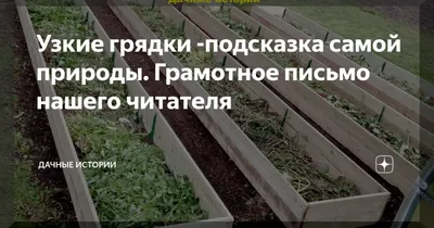 Как превратить грядки в произведение искусства: море идей | STENA.ee