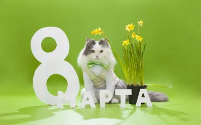 Отзывы о книге «В ожидании малыша», рецензии на книгу Марты Сирс, рейтинг в  библиотеке Литрес