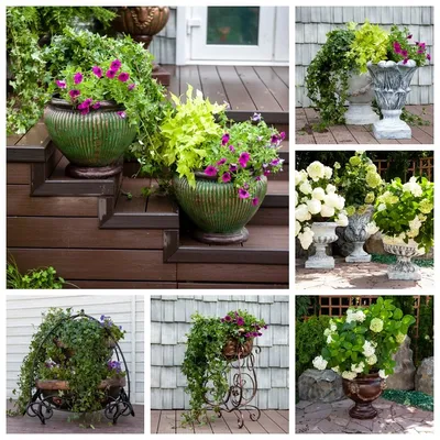 Вазоны для цветов уличные купить в магазине GardenDecor