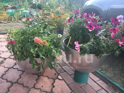 Бетонные вазоны для дачных участков - Vazon.ru