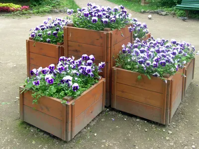 Бетонные вазоны Лебедь - Современный дом