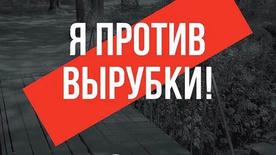 Ресторан Camelot - отзывы, фото, онлайн бронирование столиков, цены, меню,  телефон и адрес - Рестораны, бары и кафе - Махачкала - Zoon.ru