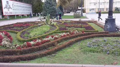в Махачкалу прикатят колесо за 20 млн евро