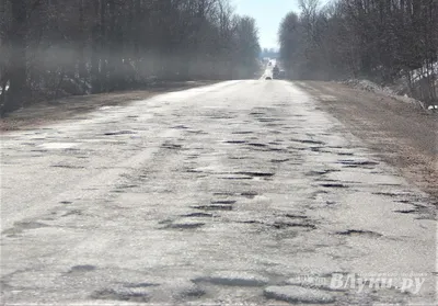 Великие Луки: знакомство с городом, посещение усадеб и дегустация на  улиточной ферме 🧭 цена тура 14900 руб., отзывы, расписание туров по  Санкт-Петербургу и Ленинградской области