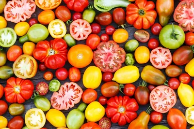 Вершинная гниль на помидорах: причины и чем обработать, чтобы сохранить  урожай