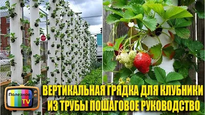 Как сделать грядку для огурцов в открытом грунте своими руками: круглые,  обычные и теплые гряды