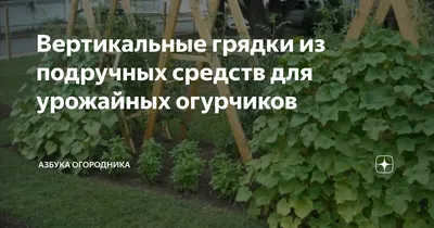 Грядка для огурцов: в открытом грунте, теплице и парнике своими руками. Как  сделать теплую, вертикальную, навозную и ступенчатую грядку?