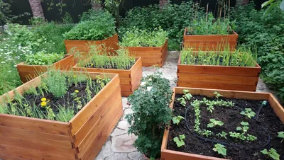 Strawberry Planter | A Collection of Photos | Вертикальные огороды, Садовые  грядки, Маленькие огороды