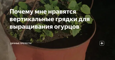 Вертикальная грядка для огурцов из покрышек своими руками | Сайт о саде,  даче и комнатных растениях.