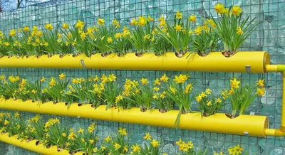 naidy_garden - 🌱Вертикальные грядки на балконе или веранде. Петрушку,  базилик, зелёный лук, редис можно легко вырастить в домашних условиях даже  сейчас! ⠀ Очень современно и удобно выращивать зелень в вертикальном  огороде от \"
