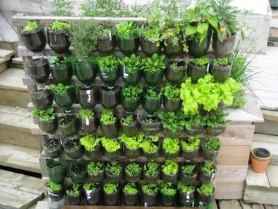 Вертикальные грядки из пластиковых ящиков | Идеи для садового дизайна, Сады  на открытом воздухе, Стена с травами