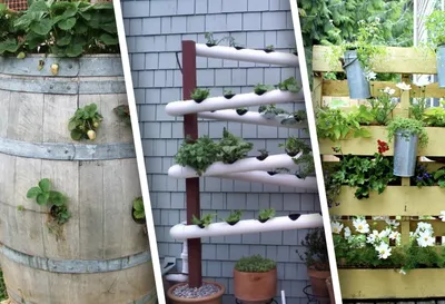 Vertical vegetable garden ideas - YouTube
