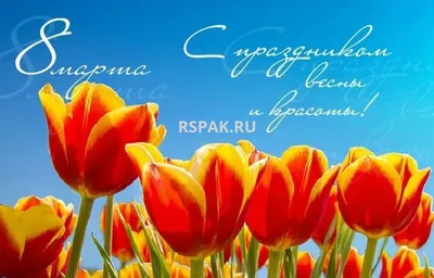 8 марта 2020: прикольные открытки и очень красивые поздравления в прозе с  жЖенским днем