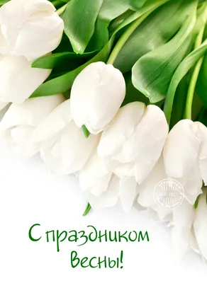 https://iz.ru/1660932/2024-03-06/s-8-marta-dushevnye-pozdravleniia
