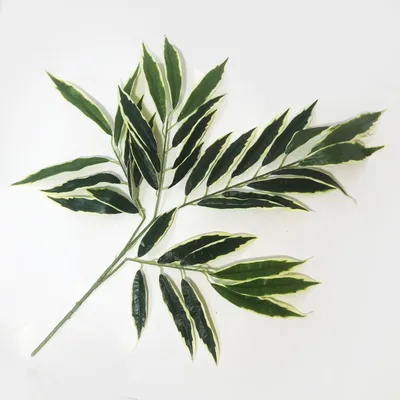 ᐉ Свисающая ветка ивы, 86 см, светло-зеленый с белым, шт.