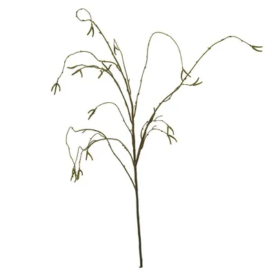 Купить Искусственное растение Ветка ивы /Искусственные цветы для декора по  выгодной цене в интернет-магазине OZON.ru (167521999)