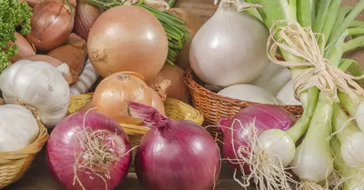 Лук – различные виды и их применение | Vegetarian.ru