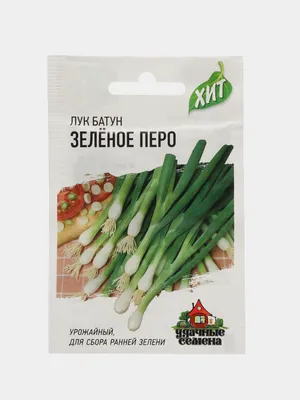 Популярные и не очень: виды лука для выращивания на зелень | Уютный дом в  цветущем саду | Дзен