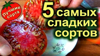 Коллекция семян «Высокорослые томаты» | ОГОРОД.сайт