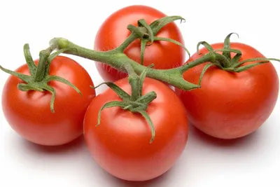 Популярные сорта помидоров: описание и сравнение | читай на Всё Своё