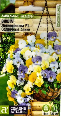 Саженец Виола ампельная купить в Могилеве