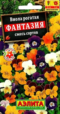 Я не ожидала, что так плохо вздойдут семена виолы весной. Показываю какие  сорта взошли и сейчас цветут у нас в саду | Понемногу обо всём в саду | Дзен