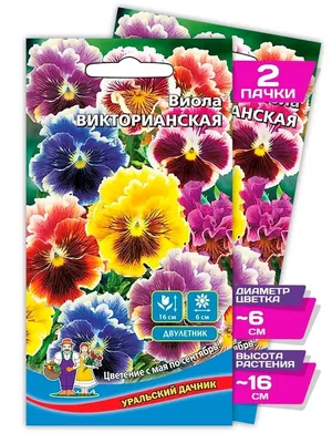 Фиалка душистая — травянистое многолетнее растение семейства Фиалковые