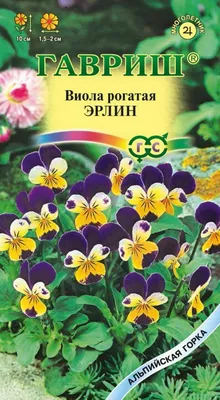 Виола Водопад Желтый с пятном 5 шт АСТ / фиалка трехцветная / анютины  глазки / семена многолетних и однолетних цветов | AliExpress