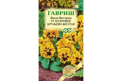 Манящие Анютины глазки (Виолы) — Статьи — Хобби Сад