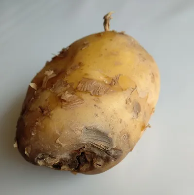 Что нужно знать о картофеле?