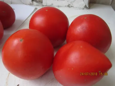 Томат Поцелуй Герани, белый пакет (5 шт)