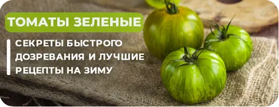 Томат - Zorza Toruńska - 200 семена - Lycopersicon esculentum Mill – Garden  Seeds Market | Бесплатная доставка