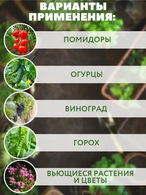 Сетка для вьющихся растений, сетка из люфы для утренней лозы, цветов,  садовых растений, сетка для вьющихся огурцов, держатель для выращивания  виноградной лозы | AliExpress