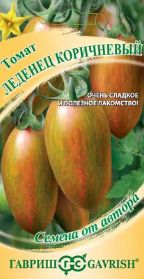 Какие вьющиеся растения посадить на даче: как вырастить девичий виноград,  лимонник китайский, клематис июль-август 2022 года - 22 июля 2022 - НГС