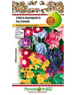 Агротехника вьющихся растений - Цветы, рассада, саженцы, растения: розы,  гортензии, азалии, рододендрон. Ландшафтный дизайн - Садовый центр \"Нимфея\"  в Красноярске