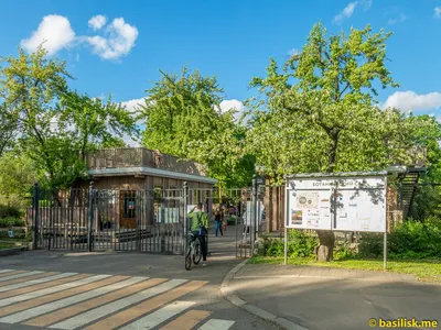 Ботанический сад в Минске. Фото